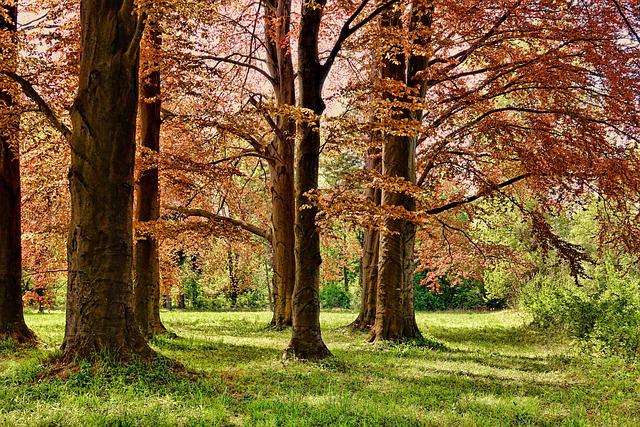 Park Parukářka: Slunění s výhledem na město