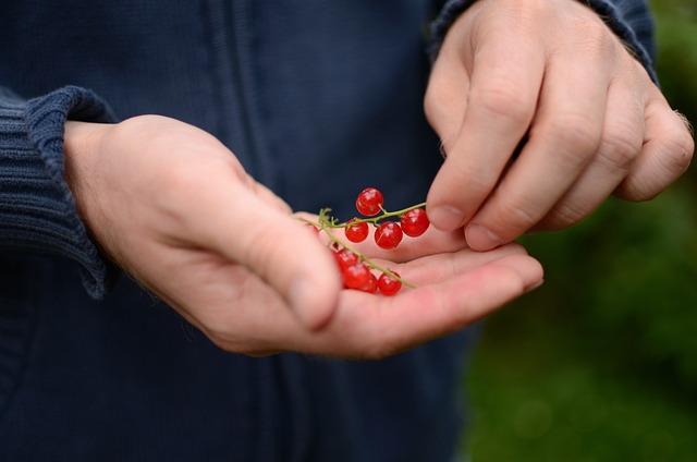 Bio na opalování: Přírodní produkty pro bezpečné slunění