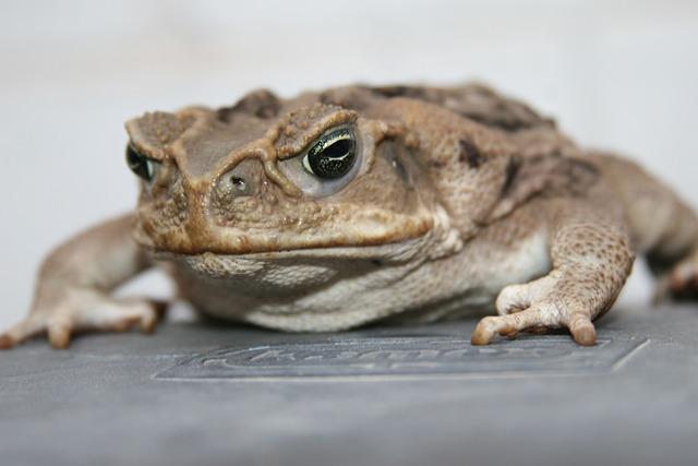 Monitorujte stav pokožky