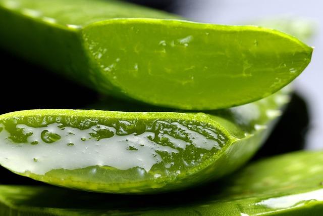 Aloe Vera: Přírodní pomocník na zklidnění pokožky