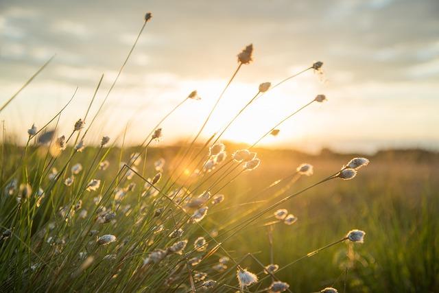 Doporučení a závěrečné hodnocení: Pro koho je Eco by Sonya vhodná?